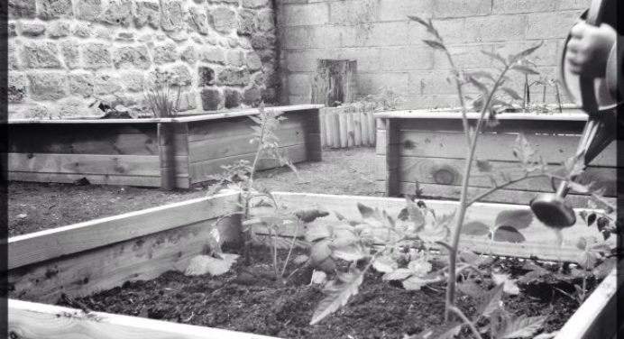 Instantannés 17.06