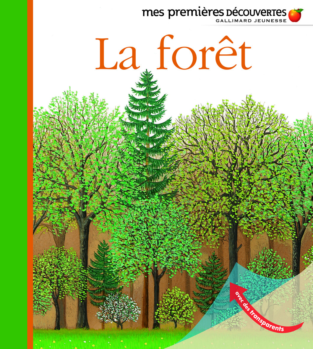 la foret decouvertes visuel Ma petite bibliothèque du moment : 10 livres jeunesse pour observer (et aimer) la nature