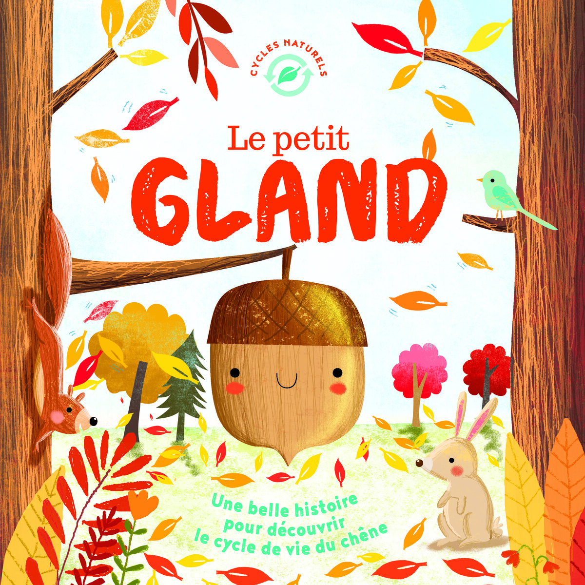 le petit gland visuel Ma petite bibliothèque du moment : 10 livres jeunesse pour observer (et aimer) la nature