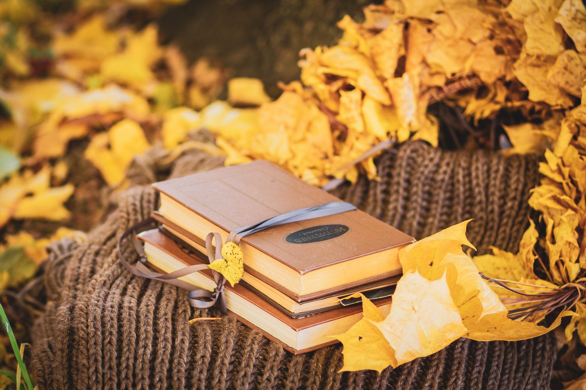 Ma petite bibliothèque du moment : 10 livres jeunesse pour observer (et aimer) la nature