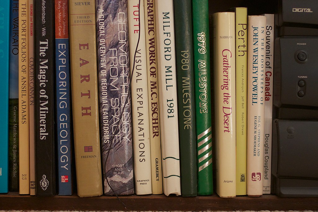 Ma petite bibliothèque du moment : 10 livres jeunesse pour observer (et aimer) la nature