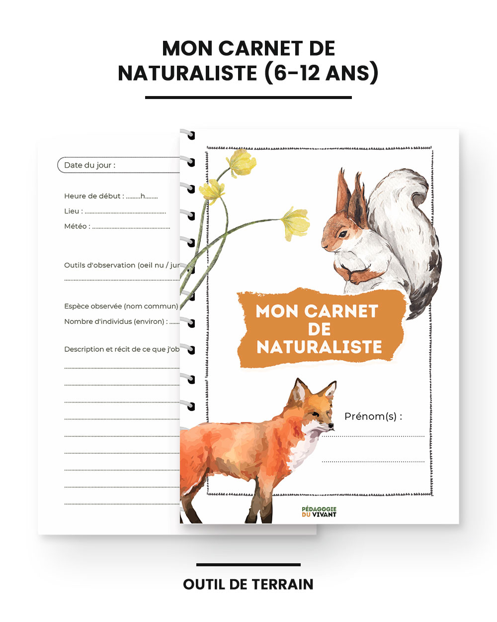 mon carnet de naturaliste src Ma petite bibliothèque du moment : 10 livres jeunesse pour observer (et aimer) la nature