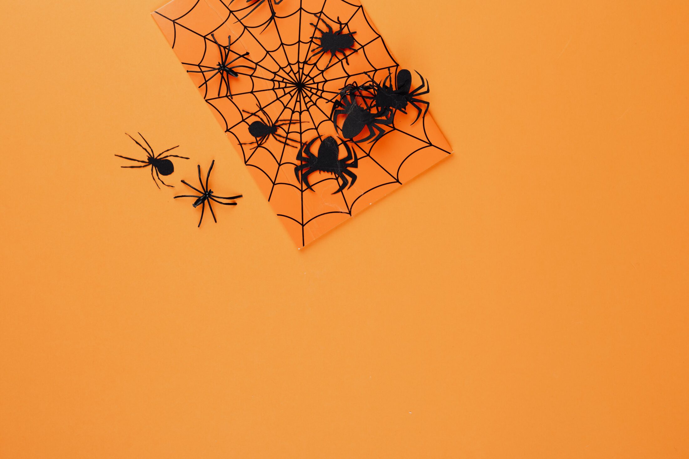 araignees papier toile entry9 Mes trouvailles tout doux : 10 idées Halloween pour nos petits loups