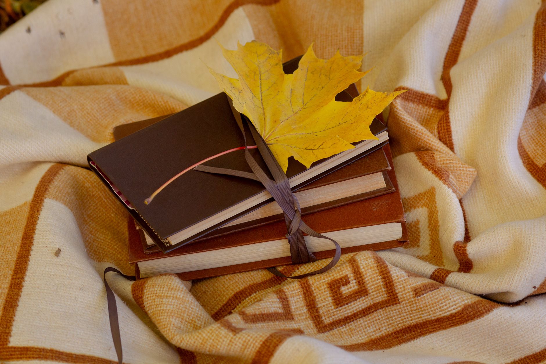 Mon rituel du soir : 10 histoires et livres pour apaiser l’heure du coucher