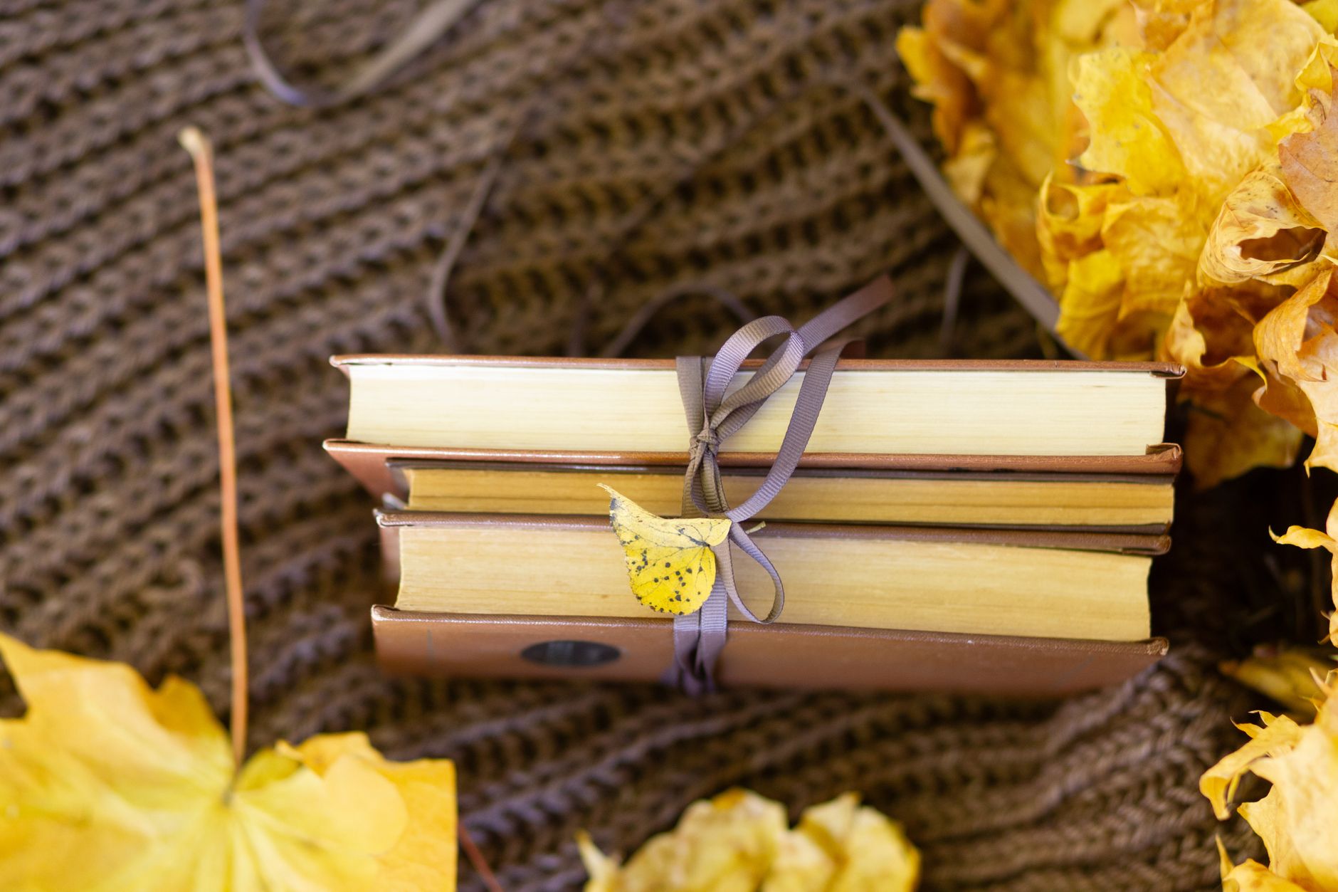Mon rituel du soir : 10 histoires et livres pour apaiser lheure du coucher histoires du soir inline Mon rituel du soir : 10 histoires et livres pour apaiser lheure du coucher
