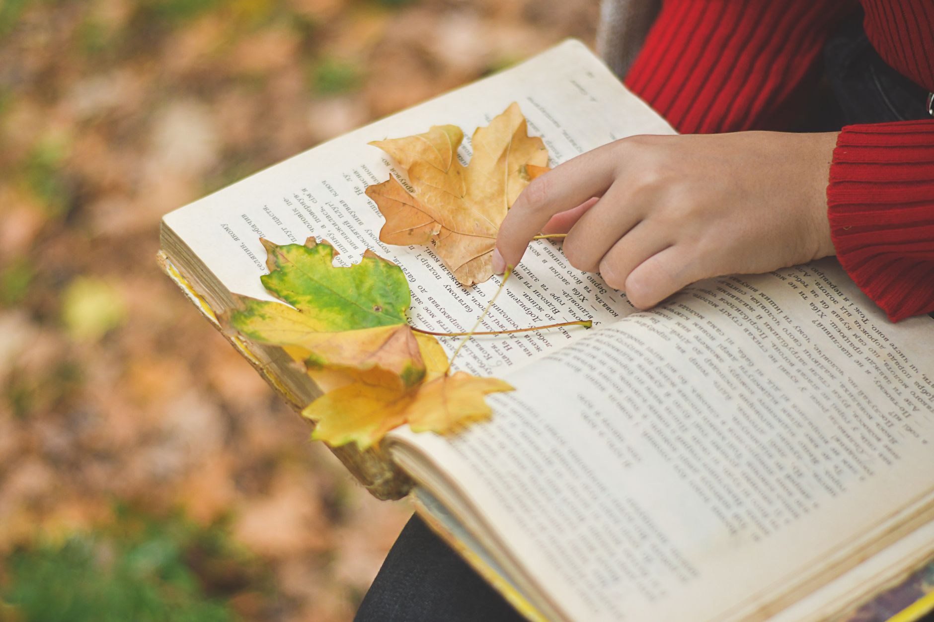 livres jeunesse lecture inline Objectif lecture : mes 10 livres et BD pour donner (enfin) envie de tourner les pages