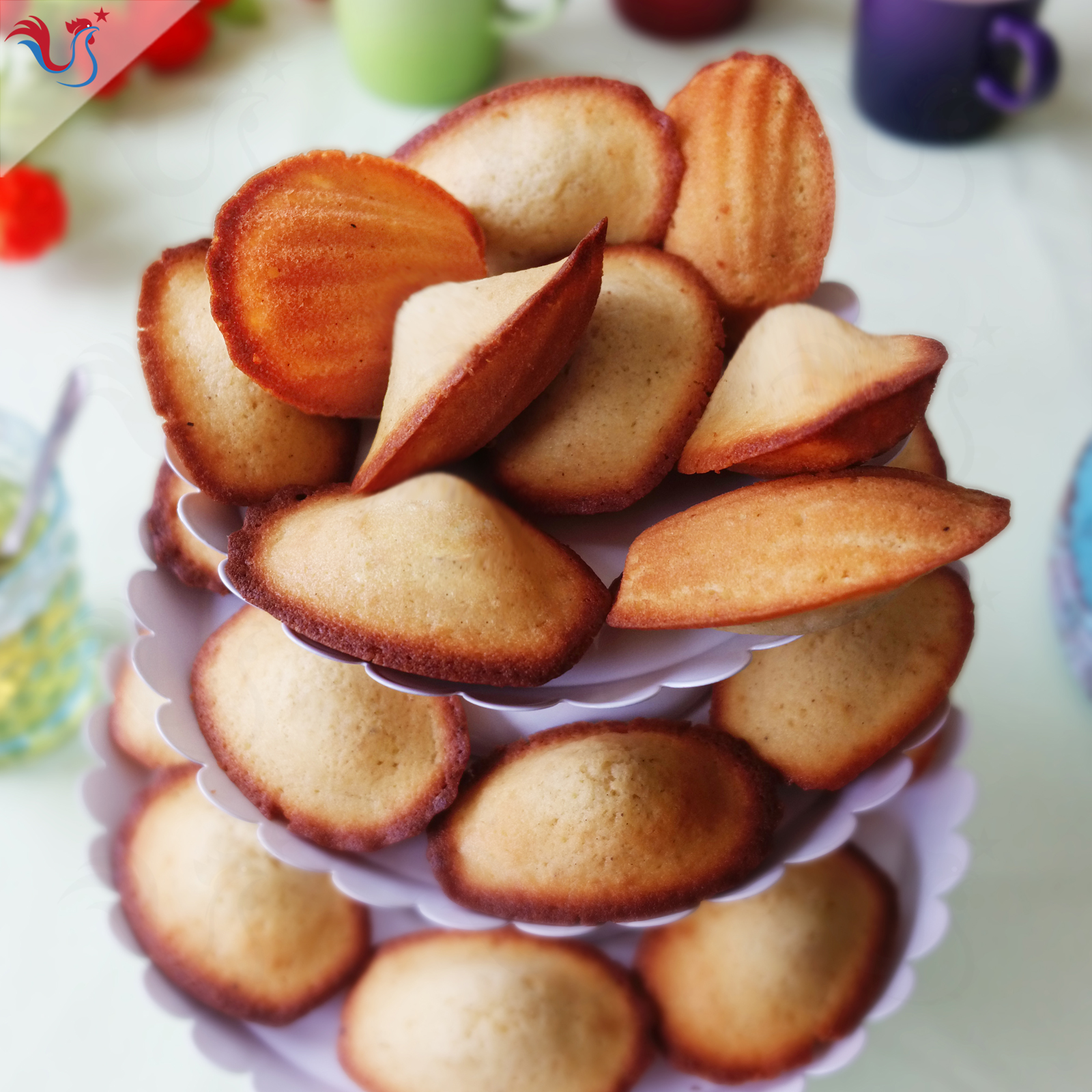 madeleines moelleuses tout juste demoulees src Petits biscuits, grand bonheur : 10 idées pour un goûter 100 % biscuits maison