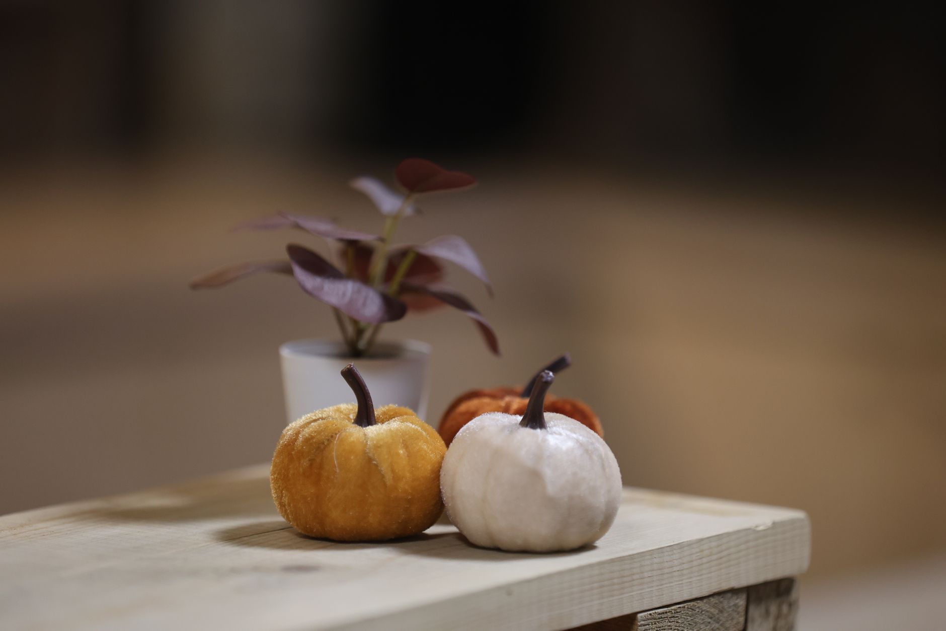 Petites citrouilles en feutrine orange et blanche posées sur une table en bois, pour une déco d'automne tout en douceur