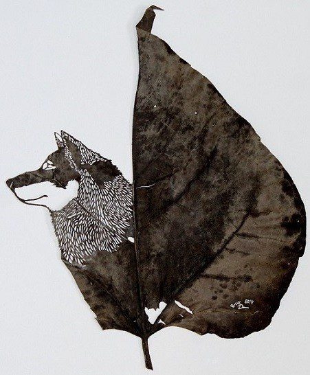 141218 el lobo feroz 44 x 34 cm especie catalpa bignonioides Tombent les feuilles